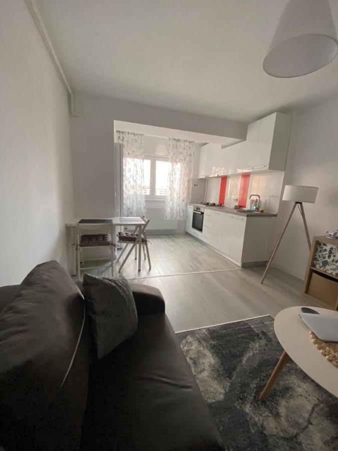 Appartement Zian Flat à Bucarest Extérieur photo